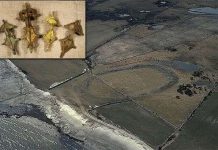 Những bí mật kinh hoàng được khám phá trong năm 2013