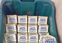 Tại sao Tòa thánh Vatican bỗng dưng lấy sữa sơn tường?