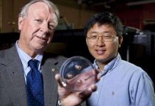 Trình làng siêu vật liệu bắt dính đạn