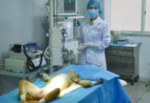 Trung Quốc phát triển máy in 3D sinh học có thể sản xuất mô người