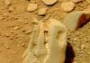 Vật thể hình sọ khủng long trên sao Hỏa
