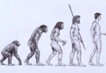 Sự thật về nguồn gốc của con người