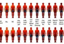Các nhà khoa học lập bản đồ khu vực cơ thể nam và nữ giới không thích "chạm"