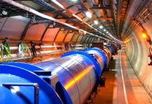 Hạt của Chúa tròn một tuổi