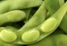 Kéo dài tuổi thọ của lốp xe bằng dầu đậu nành