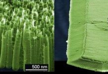 Phát triển thiết bị phát hiện chất nổ thay thế chó nghiệp vụ