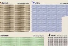 Nguy cơ về cuộc đại tuyệt chủng thứ 6 trên Trái đất