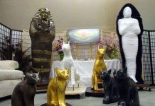 Tìm hiểu cách ướp xác thú cưng theo kiểu Ai Cập cổ đại