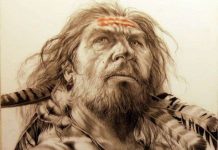 Đã tìm ra nguồn gốc thực sự của loài người?
