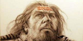 Đã tìm ra nguồn gốc thực sự của loài người?