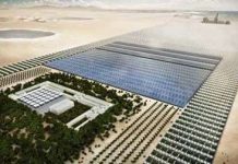 Công nghệ phủ xanh sa mạc bắt đầu được triển khai Công nghệ phủ xanh sa mạc bắt đầu được triển khai