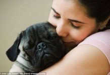 Nuôi động vật sẽ giúp trẻ em trưởng thành hơn