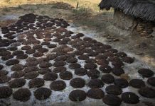 Một loại chất liệu "bốc mùi" sắp được sử dụng trong ngành thời trang