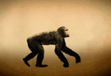 Sinh vật kinh dị này hóa ra là tổ tiên cổ nhất của con người