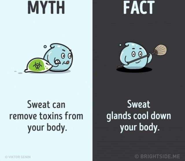 12 nhận thức sai lầm bạn vẫn luôn tin là đúng