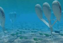 Thiết bị tạo điện mới từ đại dương