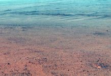 Dấu tích nghi của hồ cổ đại trên sao Hỏa