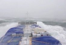 Tàu hàng sống sót trước bão tố trên biển như thế nào?