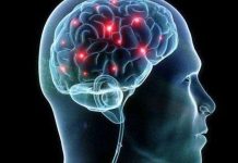 Tham vọng chế tạo não nhân tạo hoạt động nhanh hơn não người