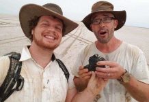 Phát hiện thiên thạch 4,5 tỉ năm tuổi ở Úc