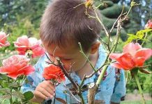 Phát hiện lạ kỳ về khứu giác thời thơ ấu