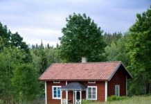 Bụi phóng xạ Chernobyl Pluton được tìm thấy trong đất