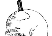 Bí ẩn trong não của một người bị đâm xuyên đầu