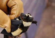 30 sự thật hiển nhiên thường bị hiểu sai (1)