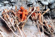 Khám phá 5 nghĩa địa ghê sợ, rùng rợn nhất trên thế giới