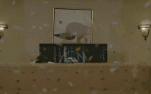 Trốn vào đâu sẽ an toàn nhất khi mắc kẹt trong một vụ đấu súng?