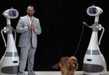 Xem robot “ô sin” ở Mỹ