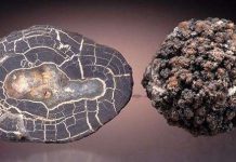 Khai thác đất hiếm dưới biển bằng robot