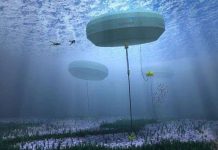 Mô hình sản xuất điện từ sóng biển đầu tiên trên thế giới