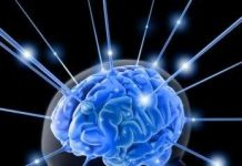 Sức mạnh ý chí