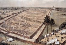 Những trường hợp sống sót ngoạn mục trong thế kỷ 19