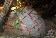 Khi trồng cây có phải bỏ lớp vỏ bầu bọc đất không?