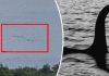 Có nhiều hơn một con quái vật dưới hồ Loch ness?