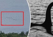 Có nhiều hơn một con quái vật dưới hồ Loch ness?
