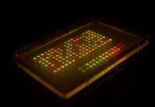 Điệp viên giấu thông điệp trong vi khuẩn