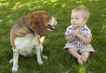 Trẻ em hiểu được tâm lý chó qua tiếng chó sủa