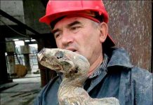 Nga: Tìm kim cương, phát hiện “quái vật thời tiền sử”