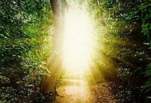 Các nhà khoa học xác nhận "thế giới bên kia" có thực