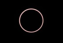 2017- Năm của cấy ghép đầu, chế sữa uống không cần bò