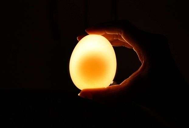 Thí nghiệm đơn giản để biến trứng thành quả bóng trong suốt, nảy như bóng bàn