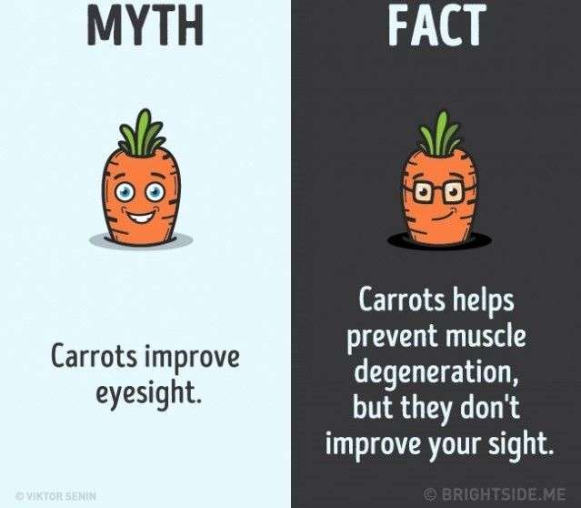 12 nhận thức sai lầm bạn vẫn luôn tin là đúng