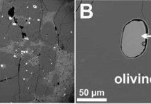 Xác định được nguồn gốc của nước trên Trái đất