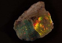 Viên đá opal 600.000 USD lần đầu ra mắt công chúng