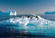 Khám phá bất ngờ về độ dày của khối băng Nam Cực