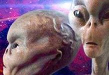 Người ngoài hành tinh từng đến vùng Taiga?