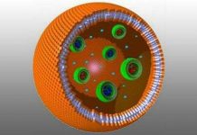 Chế tạo thành công tế bào bằng plastic đầu tiên